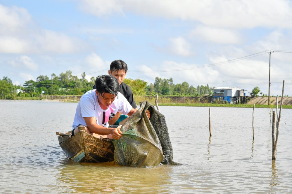 Ống kính bạn đọc: Chốt dân quân mùa nước nổi